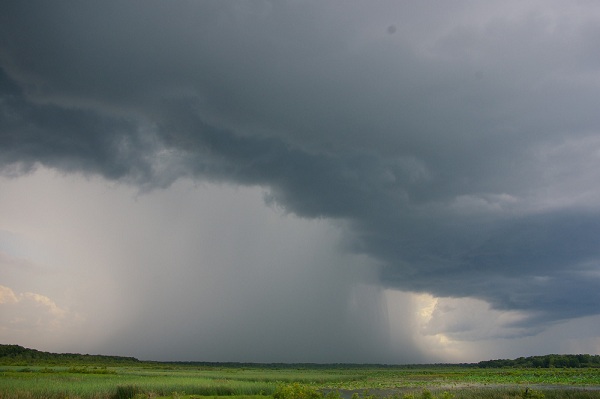  Fogg Dam Conservation Reserve which is one of several reserves in the lower lower Adelaide River catchment in the Northern Territory. A thunderstorm dumps heavy rain over Fogg Dam during the Build-Up which is the lead-up to the Wet Season. 